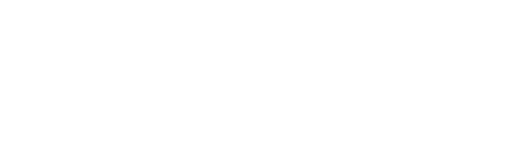 PIVOT CASE